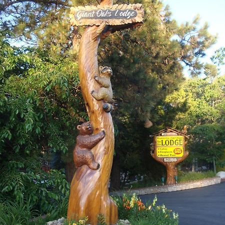 Giant Oaks Lodge Running Springs Екстериор снимка